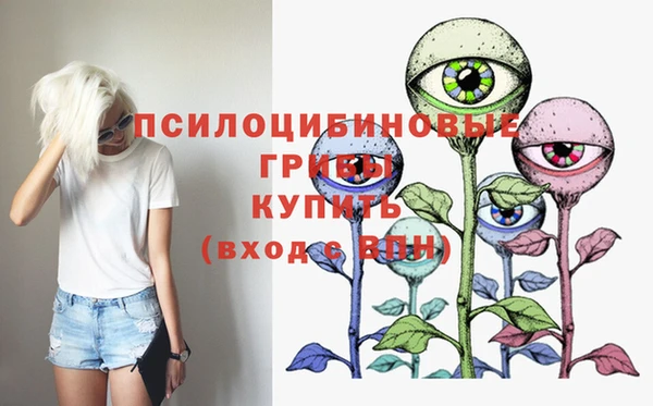 мдпв Верхний Тагил