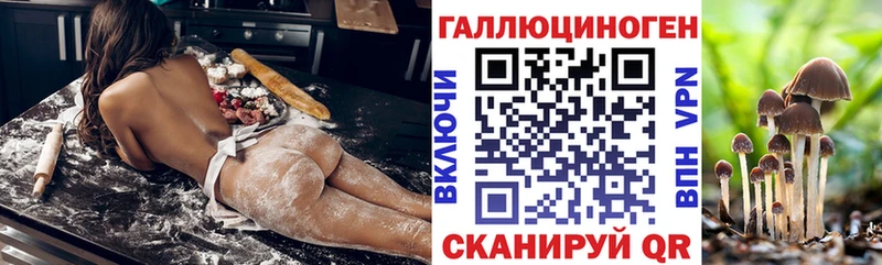 купить закладку Одинцово Псилоцибиновые грибы Psilocybe